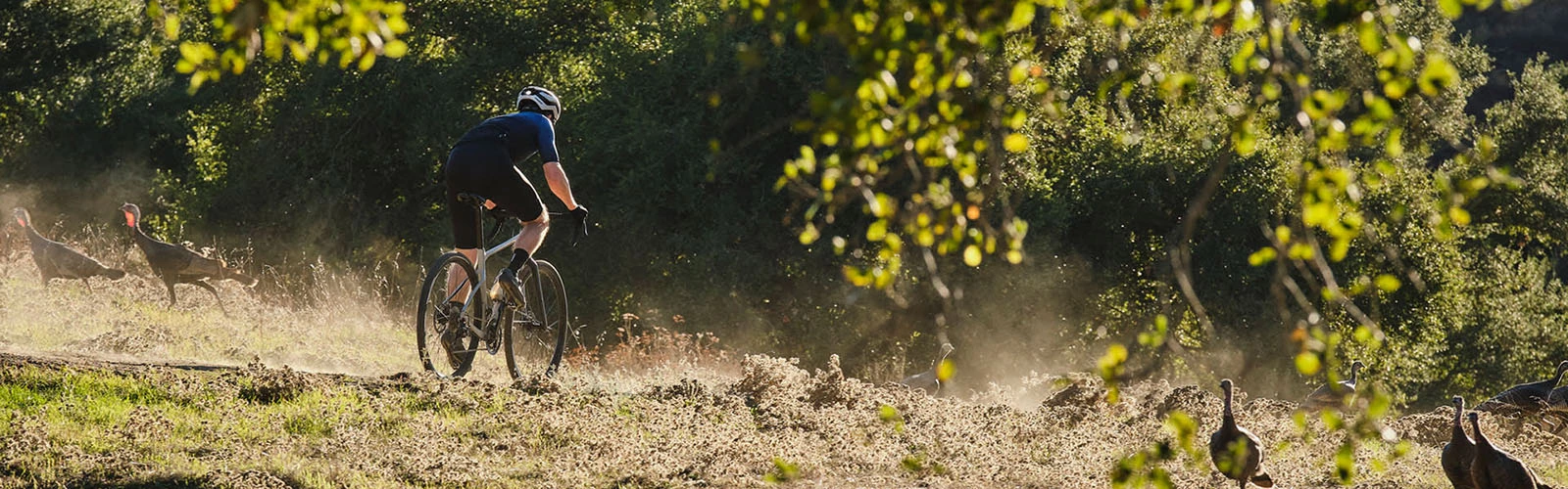 Bicicletas Ventas -Bicicletas Ventas 10