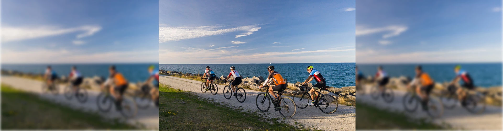 Bicicletas Ventas -Bicicletas Ventas 15