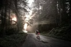 Bicicletas Ventas -Bicicletas Ventas 400000141 numen unicliptl 06