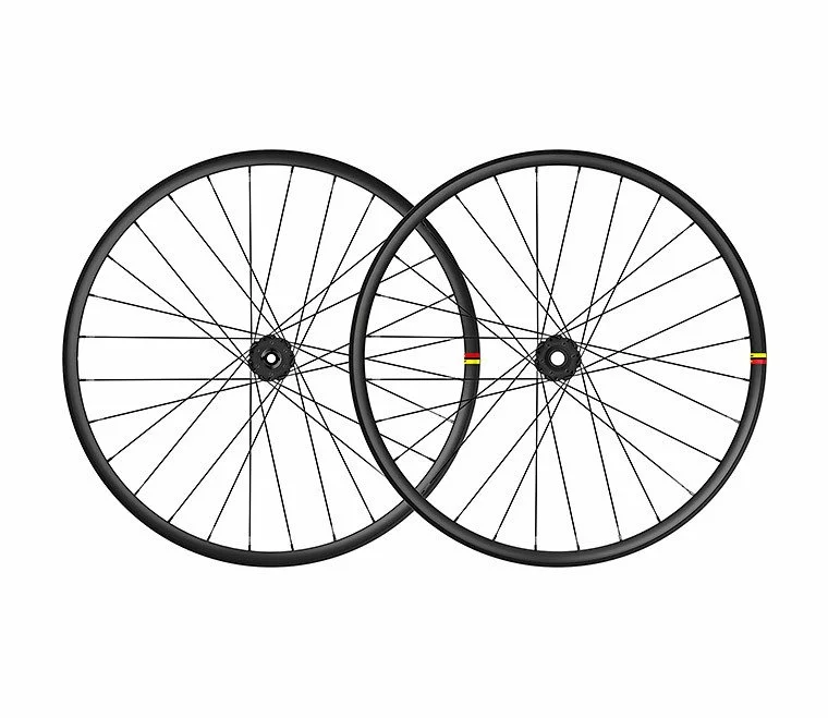 JGO RUEDAS MAVIC DEEMAX DH 2020 2 JGO RUEDAS MAVIC DEEMAX DH 2020 - Imagen 2