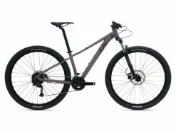 BICICLETA LIV TEMPT 3 2022